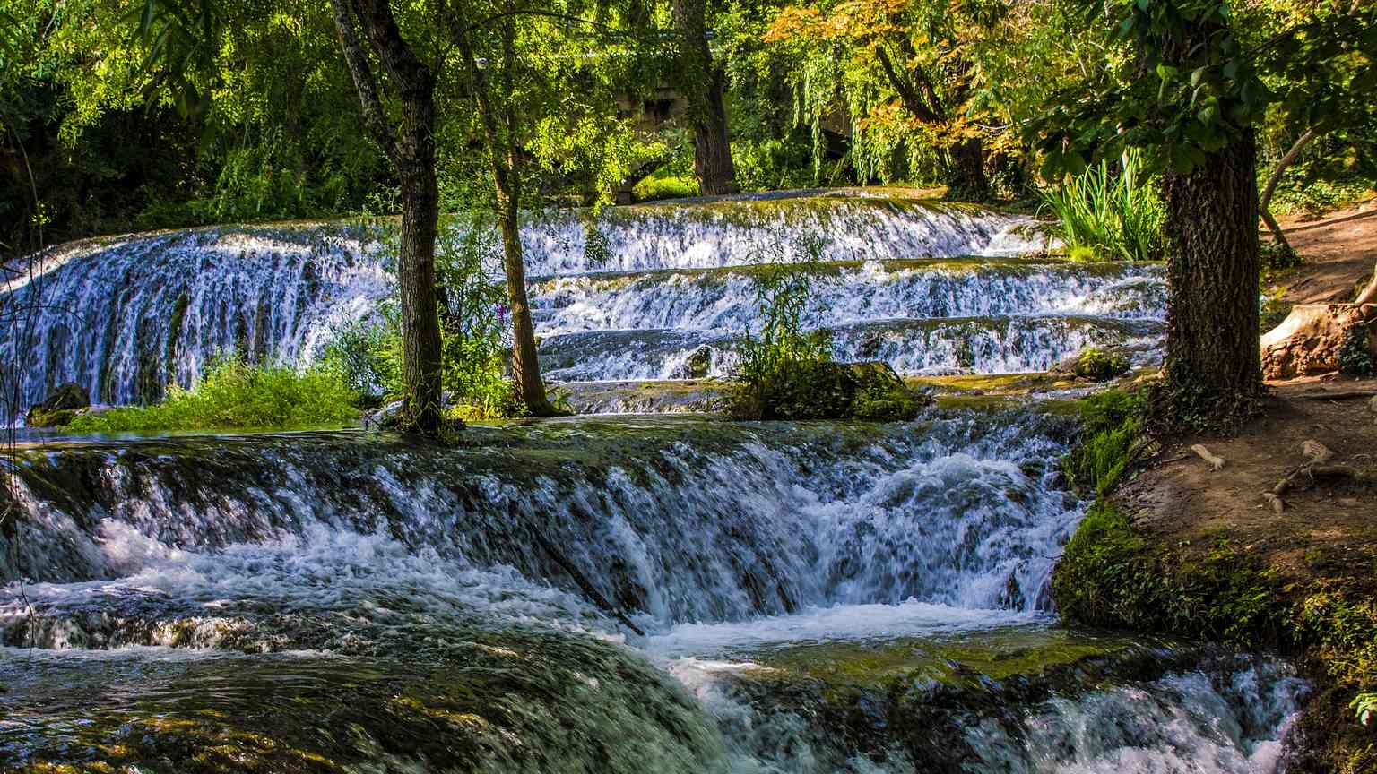 Visita al Monasterio de Piedra. Zaragoza Incoming