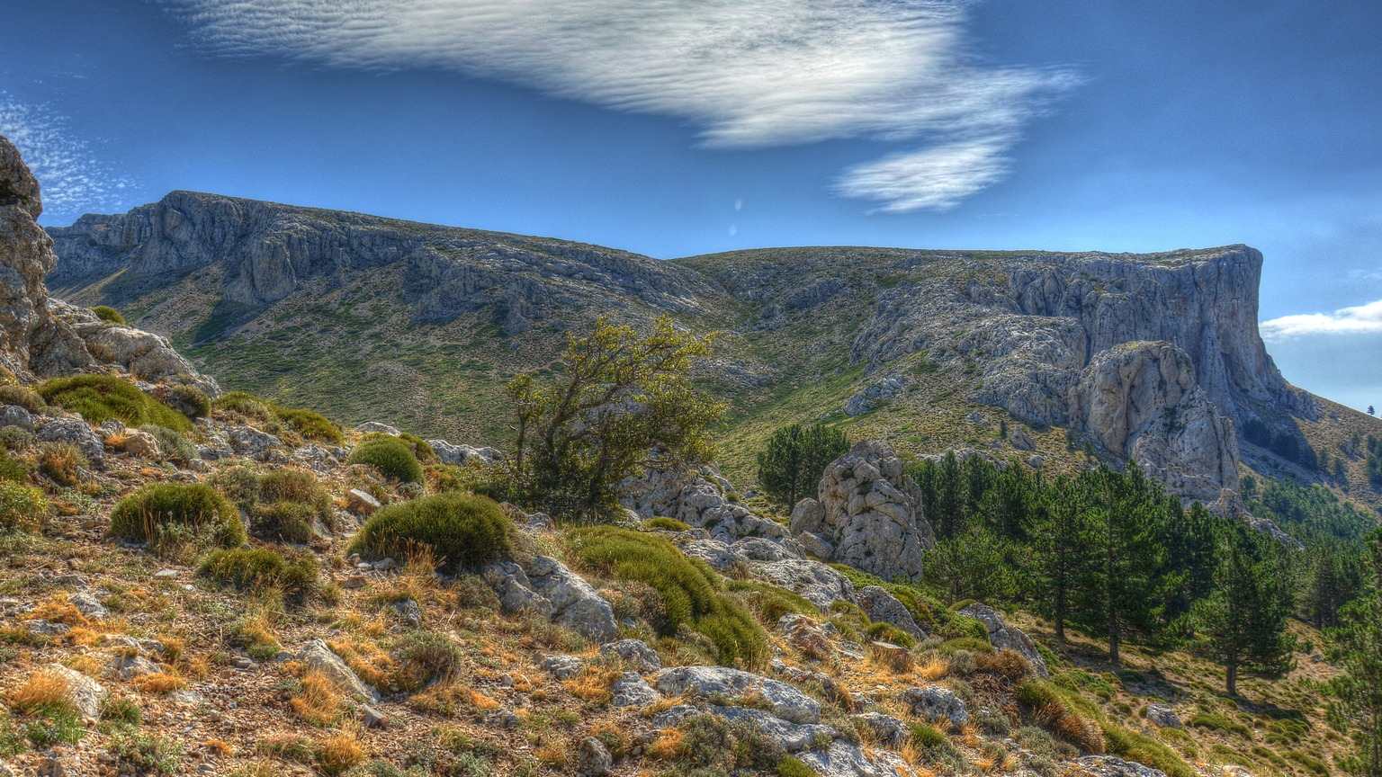 Visita al Moncayo y Veruela. Zaragoza Incoming